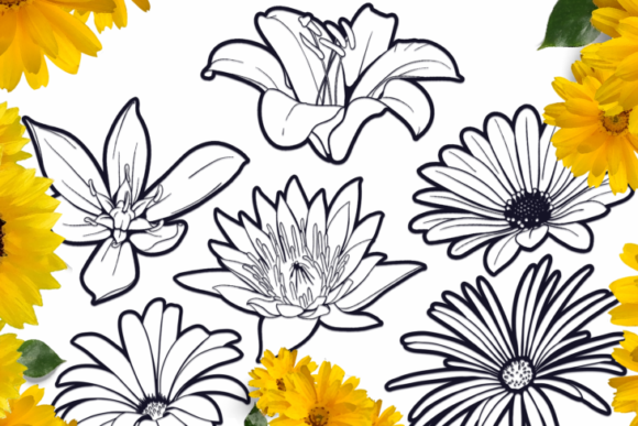 Blooming Flowers Pack Review